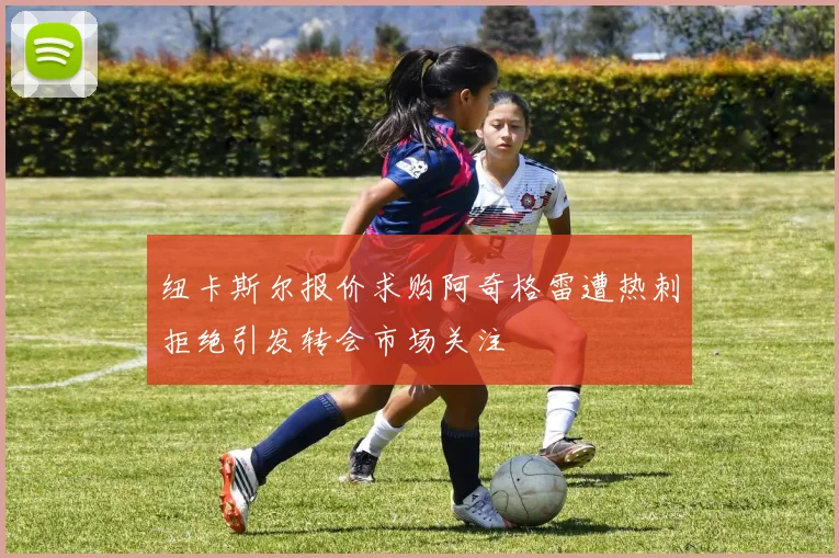 纽卡斯尔报价求购阿奇格雷遭热刺拒绝引发转会市场关注