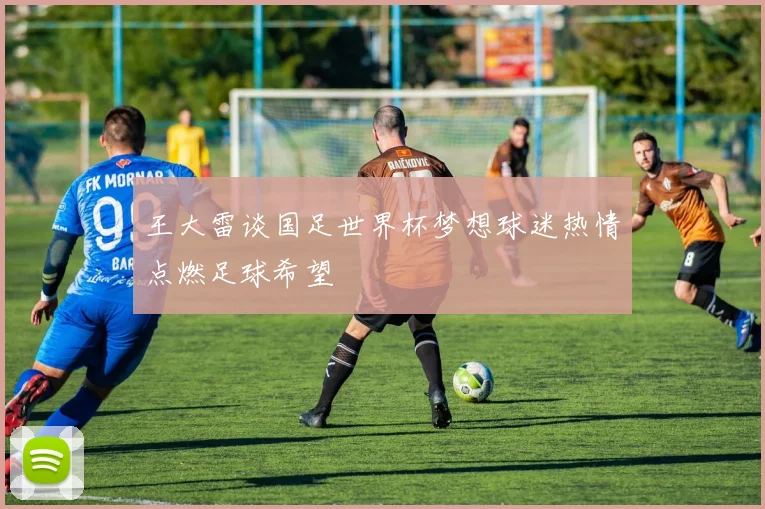 王大雷谈国足世界杯梦想球迷热情点燃足球希望